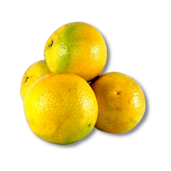 Orange Valencia Colombie 1 Kg